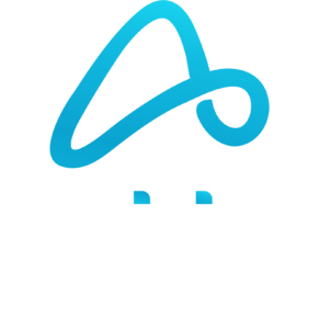 Agility Insurance Services